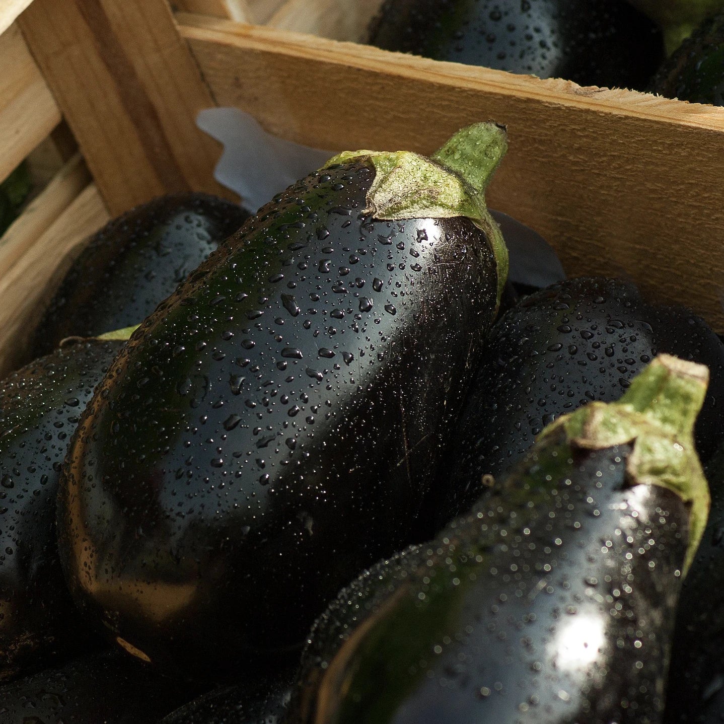 Melanzane